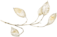 the-one-detail-3-rotate